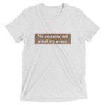 Load image into Gallery viewer, &#39;No. You May Not Steal My Peace&#39; Luxe Slouch T-shirt
